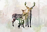 Φωτοταπετσαρια - Forest Family Αδιαβροχη 350x245cm