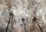 Φωτοταπετσαρια - Stirring Breath Αδιαβροχη 200x140cm