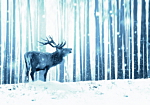 Φωτοταπετσαρια - Winter Animals - Deer Motif On A Forest Background In Shades Of Blue Αδιαβροχη 300x210cm