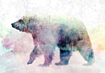 Φωτοταπετσαρια - Lonely Bear Αδιαβροχη 100x70cm