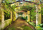 Φωτοταπετσαρια - Pergola Αδιαβροχη 150x105cm