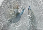 Φωτοταπετσαρια - Peacocks Dancing - Second Variant Αδιαβροχη 100x70cm