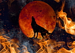Φωτοταπετσαρια - Wild Nature - Wolf On A Background Of A Red Moon In Flames Of Fire Αδιαβροχη 350x256cm