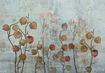 Φωτοταπετσαρια - Painted Lunaria Αδιαβροχη 400x280cm