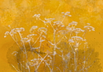 Φωτοταπετσαρια - Meadow Bathed In The Sun Αδιαβροχη 100x70cm