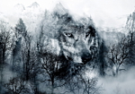 Φωτοταπετσαρια - Mountain Predator (black And White) Αδιαβροχη 100x70cm
