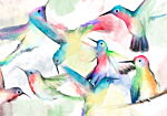 Φωτοταπετσαρια - Watercolor Birds Αδιαβροχη 400x280cm