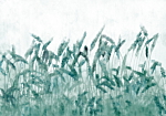 Φωτοταπετσαρια - Blue Ears Of Wheat Αδιαβροχη 300x210cm