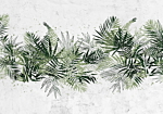 Φωτοταπετσαρια - Jungle And Green Plume - Large Tropical Leaves On A White Background Αδιαβροχη 350x245cm