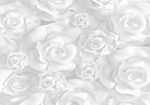 Φωτοταπετσαρια - Plaster Flowers Αδιαβροχη 200x140cm