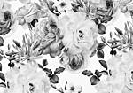 Φωτοταπετσαρια - Sentimental Garden (black And White) Αδιαβροχη 250x175cm