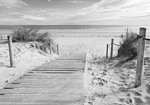 Φωτοταπετσαρια - On The Beach - Black And White Αδιαβροχη 250x175cm