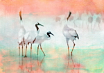 Φωτοταπετσαρια - Cranes In Pastels Αδιαβροχη 350x245cm