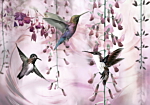 Φωτοταπετσαρια - Flying Hummingbirds (pink) Αδιαβροχη 200x140cm