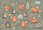 Φωτοταπετσαρια - Friends From The Forest - Colourful Forest With Mushrooms And Animals For Children Αδιαβροχη 300x210cm