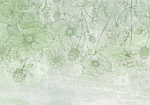 Φωτοταπετσαρια - Flowery Meadow - Nature With Field Flowers Lineart On Green Background Αδιαβροχη 350x245cm