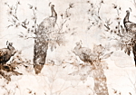 Φωτοταπετσαρια - Peacocks In Delicate Beige Αδιαβροχη 150x105cm