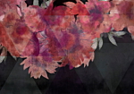 Φωτοταπετσαρια - Romantic Flowers Αδιαβροχη 400x280cm