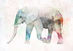 Φωτοταπετσαρια - Painted Elephant Αδιαβροχη 450x315cm