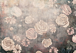 Φωτοταπετσαρια - Misty Nature - Orange Flowers On A Non-uniformly Textured Background Αδιαβροχη 350x245cm