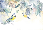 Φωτοταπετσαρια - Colorful Titmouse Αδιαβροχη 200x140cm