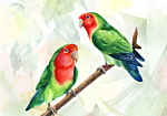 Φωτοταπετσαρια - Lovebirds Αδιαβροχη 200x140cm