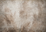 Φωτοταπετσαρια - Blown Away By The Wind Αδιαβροχη 450x315cm