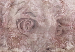 Φωτοταπετσαρια - Pink Thoughts Αδιαβροχη 150x105cm