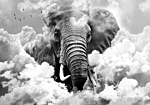 Φωτοταπετσαρια - Elephant In The Clouds (black And White) Αδιαβροχη 350x256cm