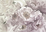 Φωτοταπετσαρια - Flowery Thought Αδιαβροχη 300x210cm