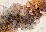 Φωτοταπετσαρια - Woven With Roses Αδιαβροχη 250x175cm