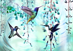 Φωτοταπετσαρια - Flying Hummingbirds (green) Αδιαβροχη 450x315cm