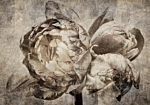 Φωτοταπετσαρια - Industrial Bunch Αδιαβροχη 300x210cm