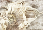 Φωτοταπετσαρια - Magic Flower Αδιαβροχη 200x140cm