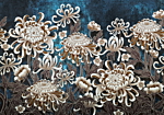 Φωτοταπετσαρια - Sea Flowers Αδιαβροχη 200x140cm