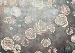 Φωτοταπετσαρια - Misty Nature - Muted Rose Flowers On A Background In Grey Tones Αδιαβροχη 350x245cm