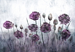 Φωτοταπετσαρια - Wild Nature Αδιαβροχη 200x140cm