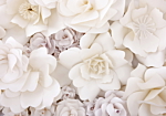 Φωτοταπετσαρια - Floral Display Αδιαβροχη 450x315cm