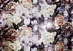 Φωτοταπετσαρια - Plant Motif With Peonies In A Garden - Retro Style Flower Background Αδιαβροχη 350x245cm