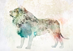 Φωτοταπετσαρια - King Of The Animals - Lion On A Solid Textured Background With Coloured Accent Αδιαβροχη 350x256cm