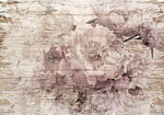 Φωτοταπετσαρια - Flowers On Boards Αδιαβροχη 300x210cm