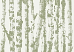 Φωτοταπετσαρια - Stately Birches - Third Variant Αδιαβροχη 350x256cm