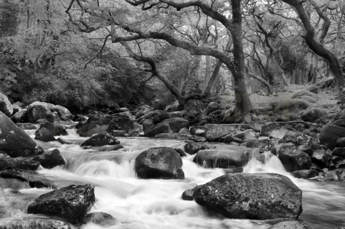 Ταπετσαρίες Τοίχου Σύγχρονες, Ρομαντικές, Κλασικές wallpapershop.gr