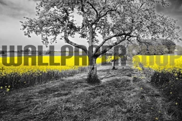 Ταπετσαρίες Τοίχου Σύγχρονες, Ρομαντικές, Κλασικές wallpapershop.gr