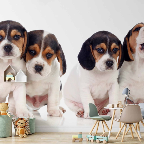 Φωτοταπετσαρια - Sad Puppies Αδιαβροχη 400x280cm