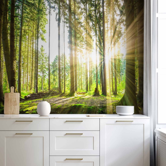 Φωτοταπετσαρια - Forest Tales Αδιαβροχη 200x140cm
