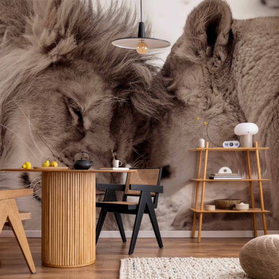 Φωτοταπετσαρια - Lion Tenderness (sepia) Αδιαβροχη 250x175cm