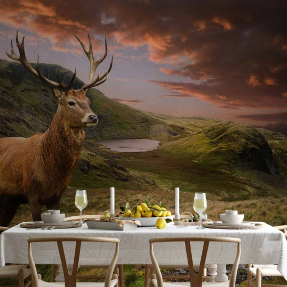 Φωτοταπετσαρια - Deer On Hill Αδιαβροχη 400x280cm