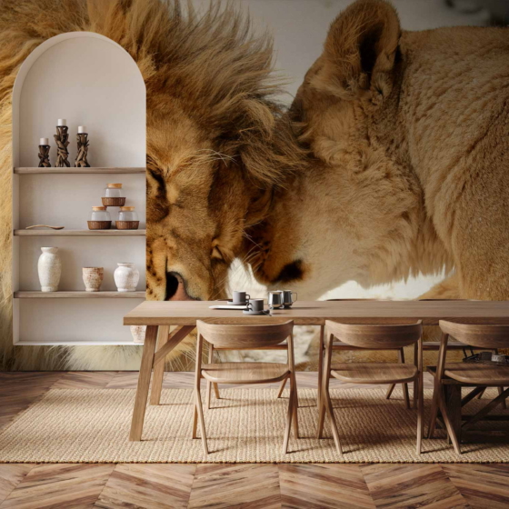 Φωτοταπετσαρια - Lion Tenderness Αδιαβροχη 300x210cm