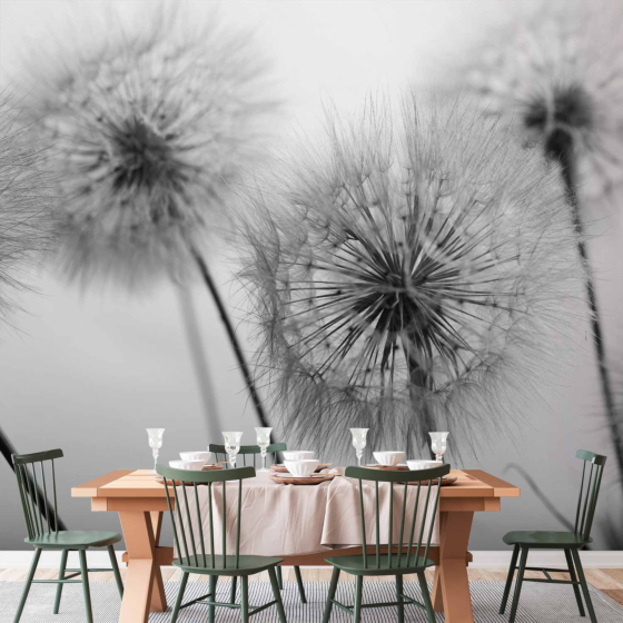 Φωτοταπετσαρια - Time For Dandelions - Second Variant Αδιαβροχη 350x256cm